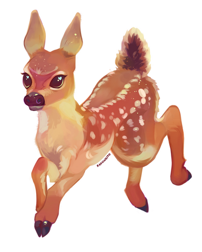 Deer